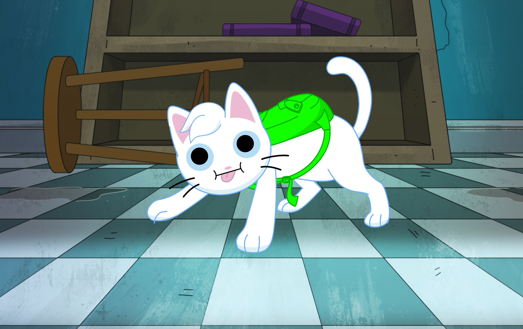 Cat in a Dog's World: The Zoomies